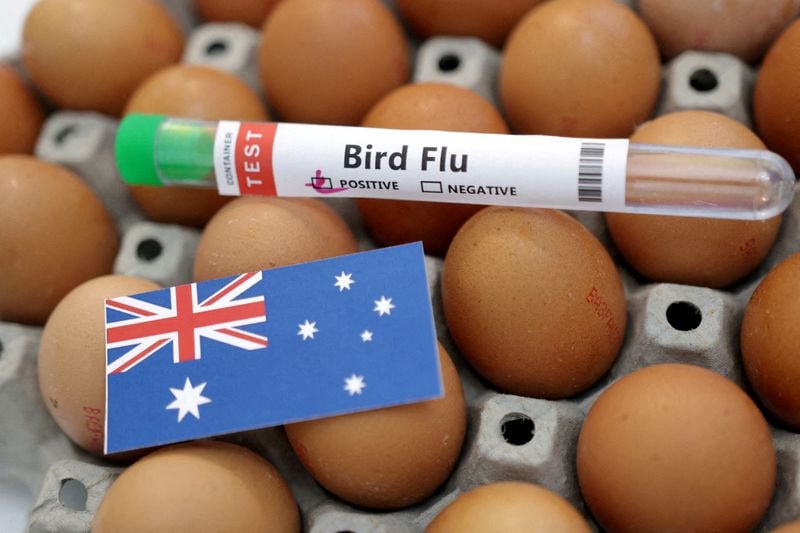 نخستین مورد آنفولانزای پرندگان H5N1 در پرندگان بومی استرالیا تأیید شد