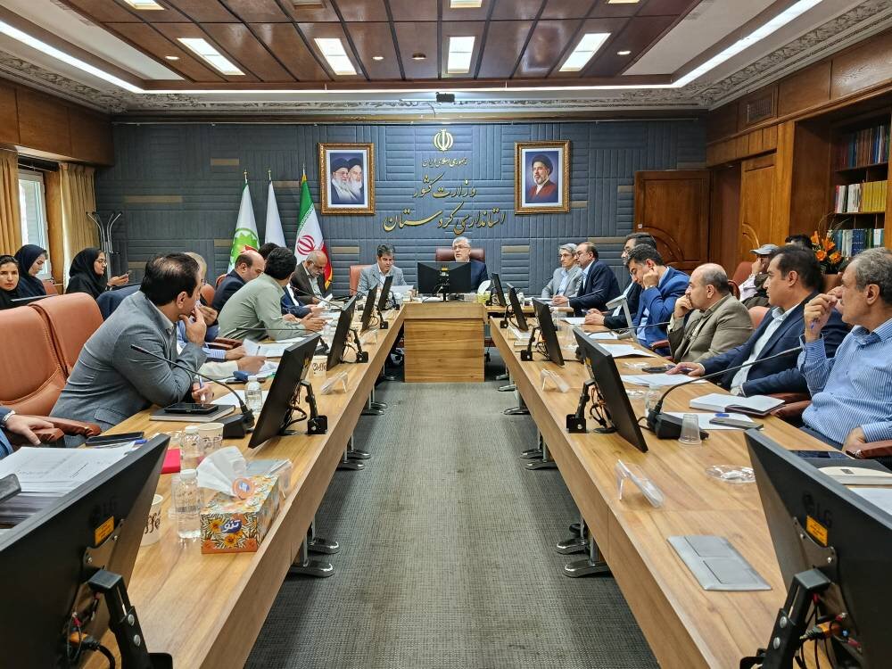 ضربالاجل استانداری کردستان برای تسریع در پرداخت تسهیلات اشتغالزایی