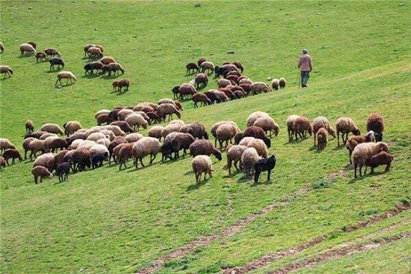 فراخوان به‌روزرسانی بانک اطلاعات بهره‌برداران مراتع کهگیلویه و بویراحمد