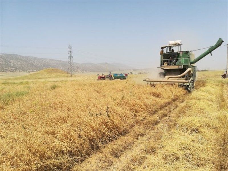 رونمایی از دستگاه بومی برداشت حبوبات در بوکان؛ گامی به سوی کشاورزی هوشمند