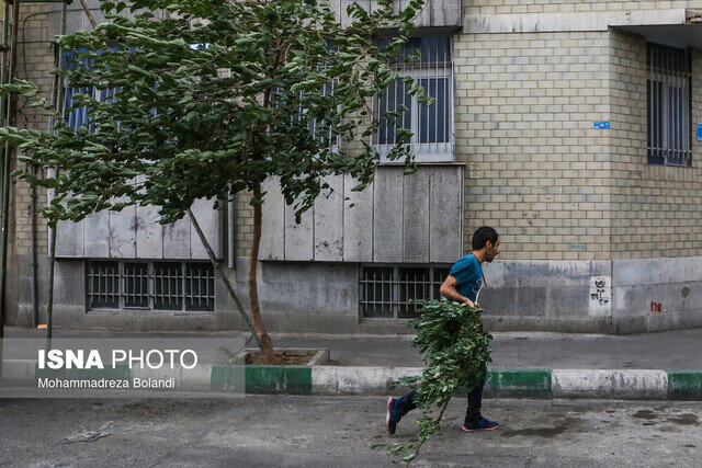 وزش باد شدید و خیزش گردوخاک در مناطق مختلف کشور طی ۵ روز آینده