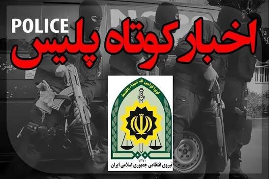 عملیات گسترده پلیس فارس علیه قاچاق کالا و اخلالگران اقتصادی