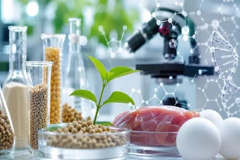 ارائه ۵۳ طرح نوآورانه اینوفارم به بیش از ۳۰ سرمایهگذار کشور