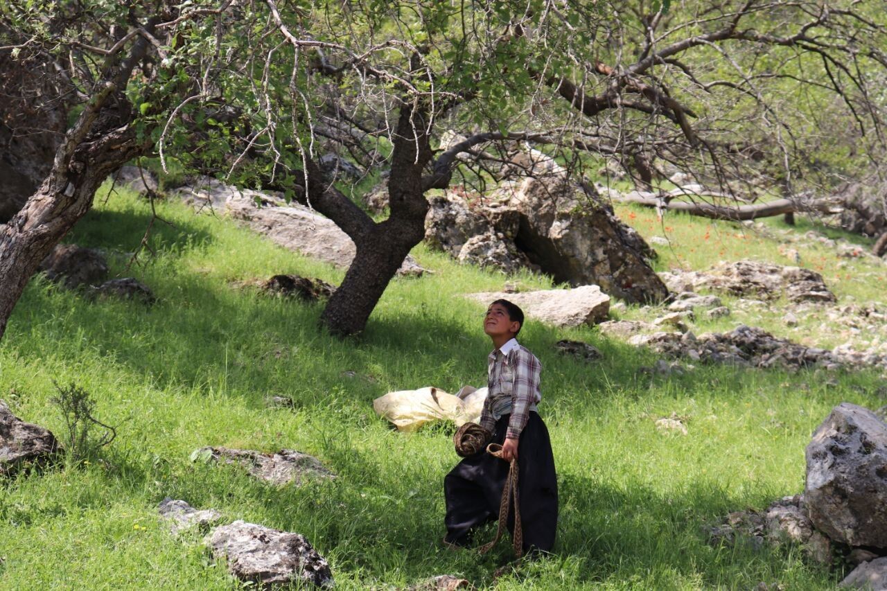 مستند نازول به جشنواره بین‌المللی فیلم هرتسگ نووی مونته‌نگرو راه یافت
