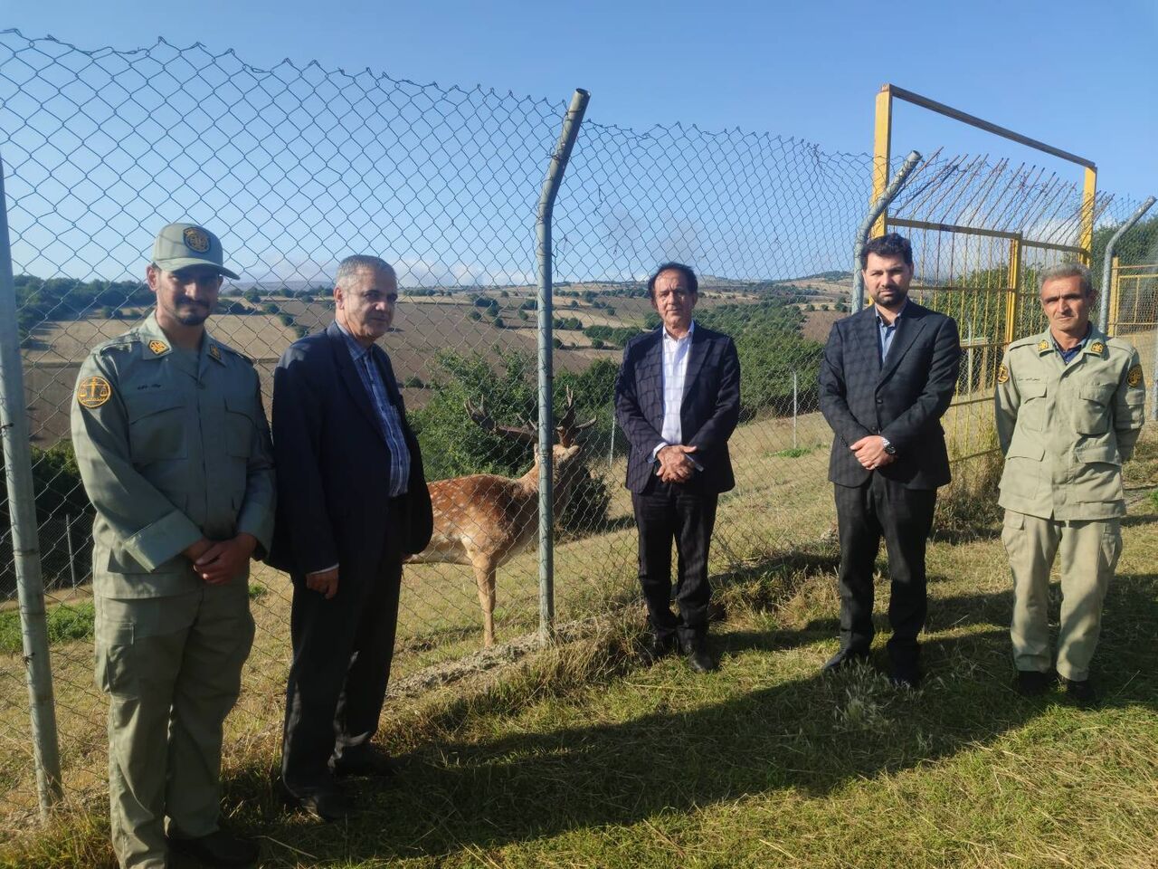 گوزن زرد ایرانی در جنگل فندقلو نمین؛ جمعیت گونه از ۳۵۰ رأس گذشت