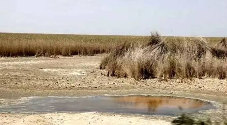خشک شدن تالاب‌ها و خطر بروز کانون‌های تازه ریزگرد در تهران
