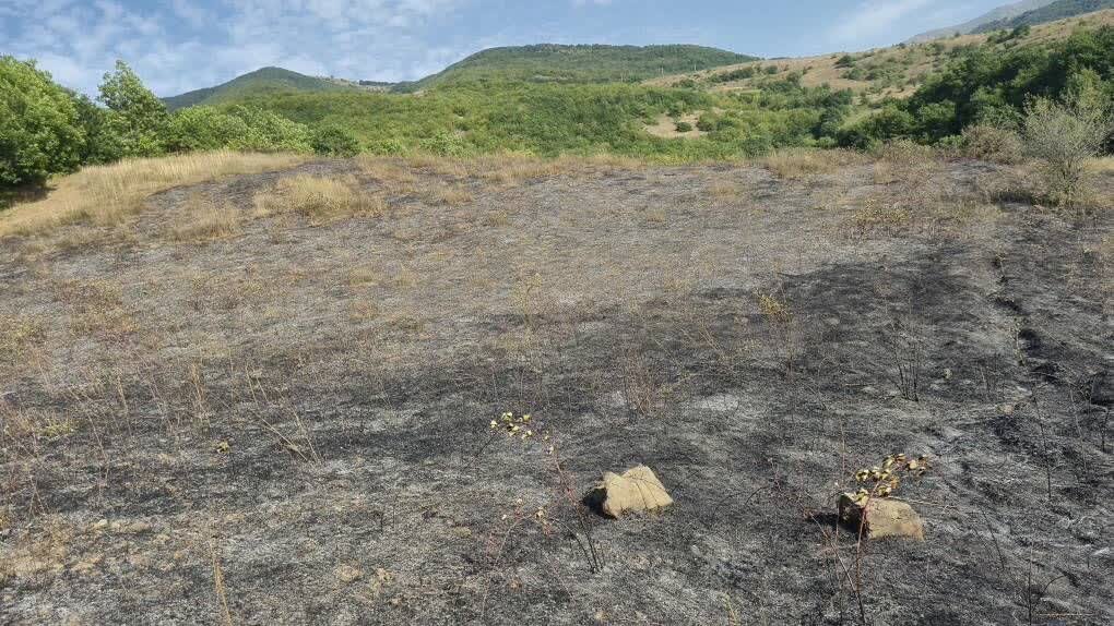 آتش‌سوزی در جنگل‌های ارسباران؛ مهار حریق با مشارکت مردم روستای وایقان