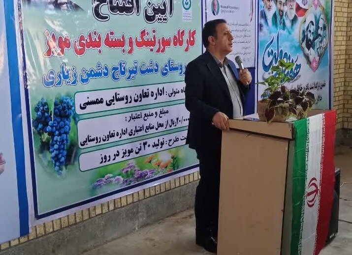 صنایع تبدیلی در فارس؛ کلید رونق اقتصادی و ارتقای محصولات کشاورزی مناطق بومی
