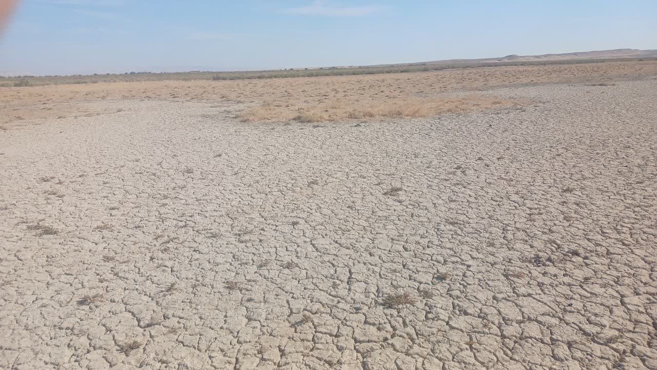 احیای تالاب بندعلی‌خان با بازگرداندن آب رودخانه شور دیرین آغاز شد