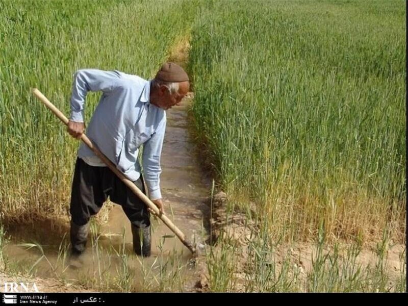 هشدار ال‌نینو در اندیمشک: کشاورزان برای مقابله با بارش‌های سنگین بیمه کنند