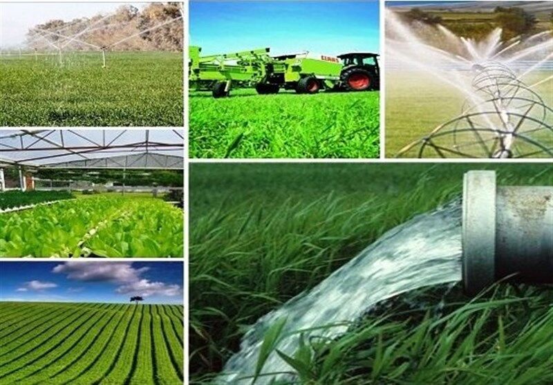 مشارکت ۱.۶ هزار میلیاردی بخش خصوصی در توسعه کشاورزی بوشهر