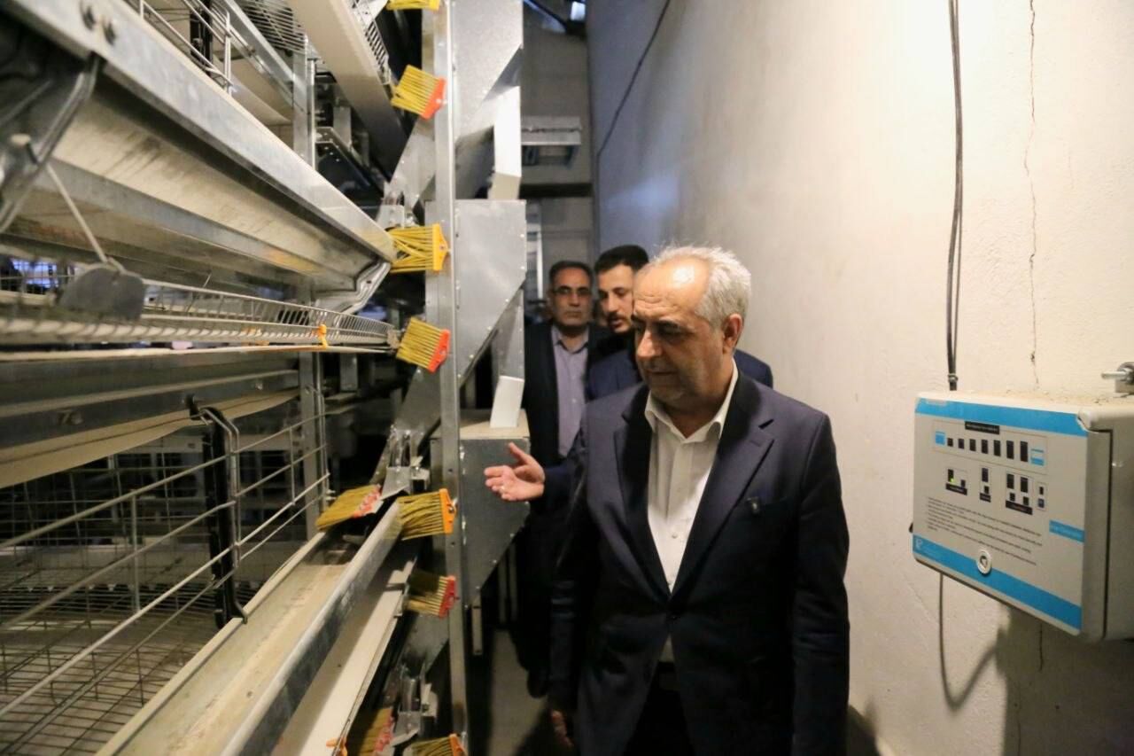 افتتاح واحد پرورش مرغ با سرمایهگذاری ۱۲۰ میلیارد تومانی در مرند