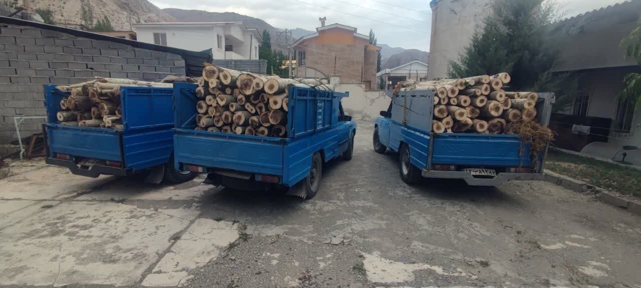 جنگلهای بلوط چهارمحال و بختیاری در معرض خطر قاچاق چوب و ذغال