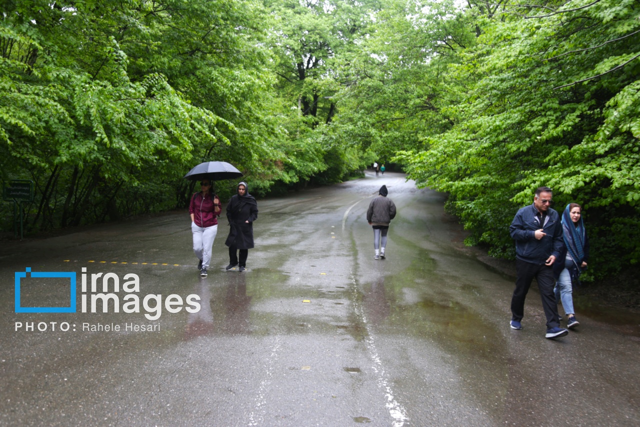رگبار باران و رعدوبرق در ۱۱ استان؛ هشدار هواشناسی برای تهران و شمال کشور