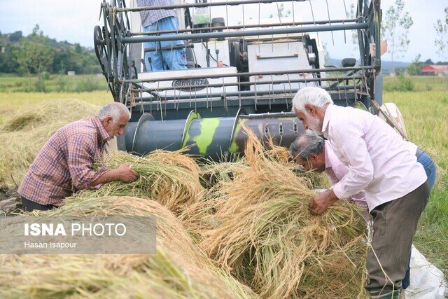 رشد ۷ درصدی ضریب مکانیزاسیون کشاورزی گیلان و افزایش بهره‌وری