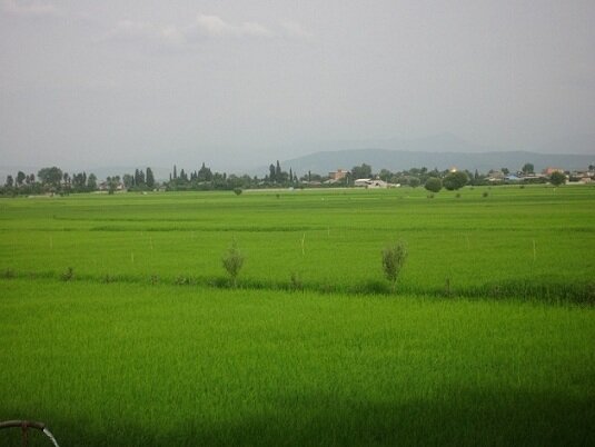 کسب عنوان نخستین روستای سبز بابل توسط پایین‌میرکلا با اجرای طرح کابل‌کشی