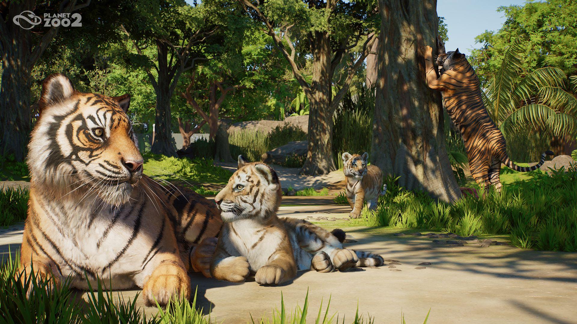 تریلر جدید Planet Zoo 2؛ رونمایی از قابلیت مدیریت مناطق حفاظت‌شده