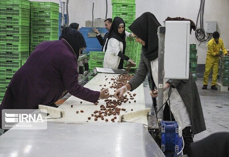 تعاون؛ راهکار اصلی گلستان برای عبور از چالش خام‌فروشی و بیکاری
