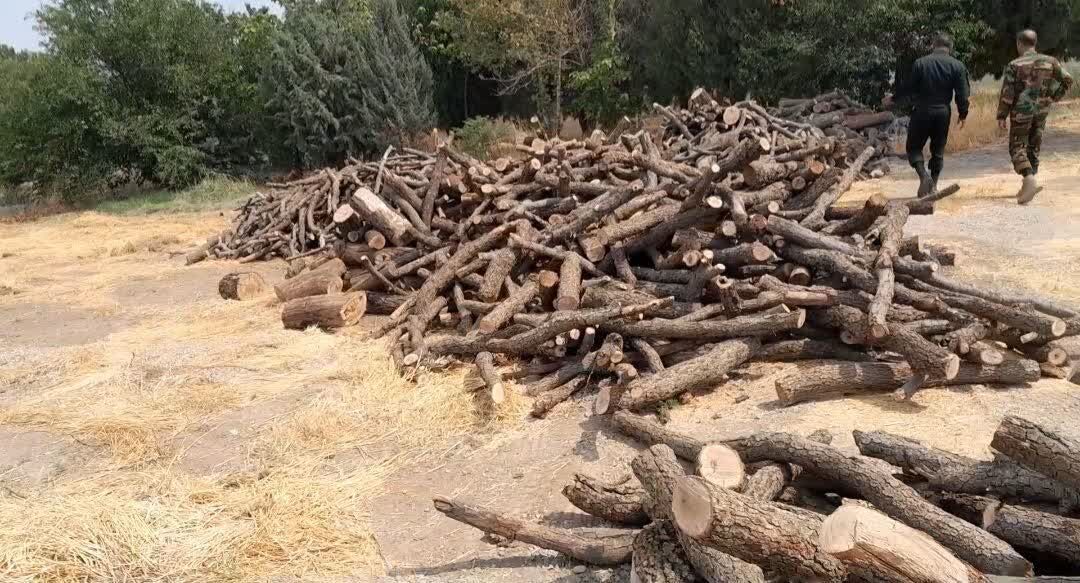 کشف ۱۰ تن چوب و زغال قاچاق و انهدام کوره‌ها در جنگل‌های کرمانشاه
