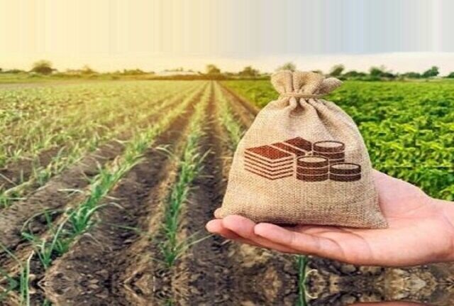 پرداخت ۱۶ هزار میلیارد تومان غرامت کشاورزان و ضرورت بیمه جنگ