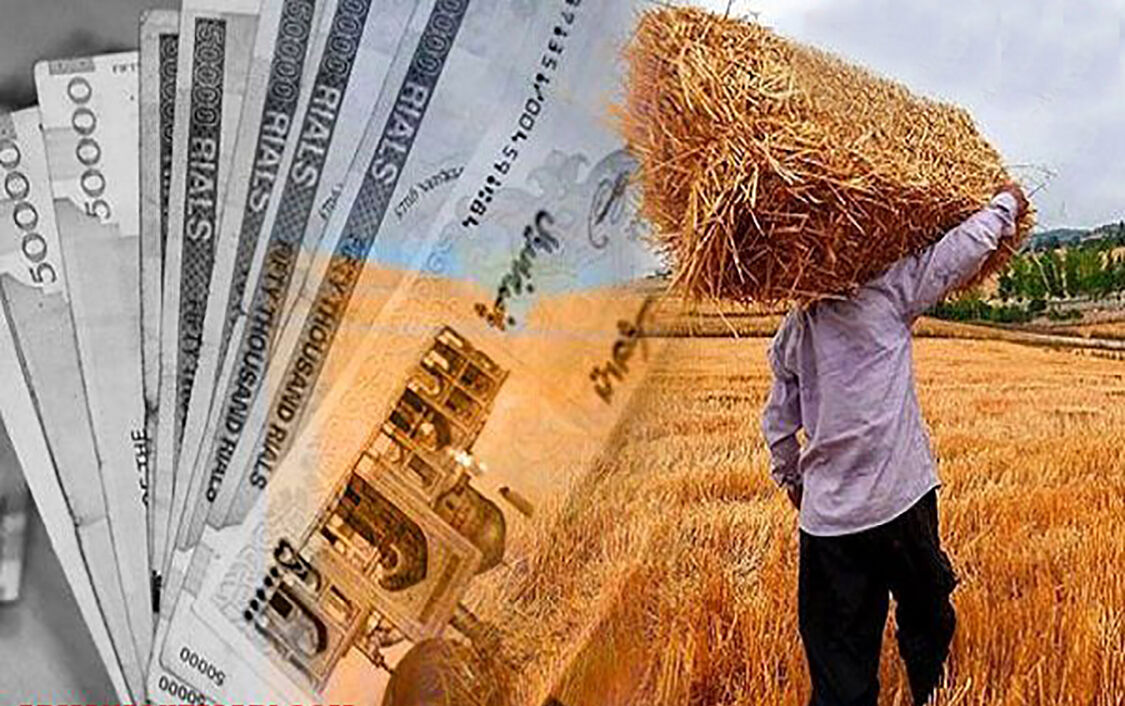 پرداخت ۶۰ درصد از مطالبات گندم‌کاران خراسان جنوبی در فصل خرید تضمینی