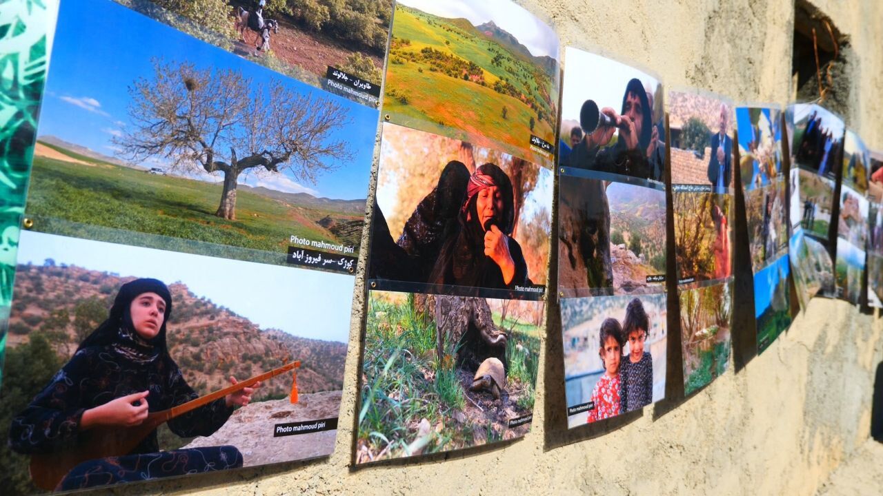 برگزاری ششمین رویداد «سوگند با بلوط» در کرمانشاه برای حفاظت از زاگرس