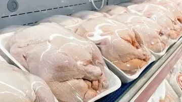 گزارش عرضه گوشت طیور در مرداد ۱۴۰۵؛ تسلط کامل مرغ بر بازار