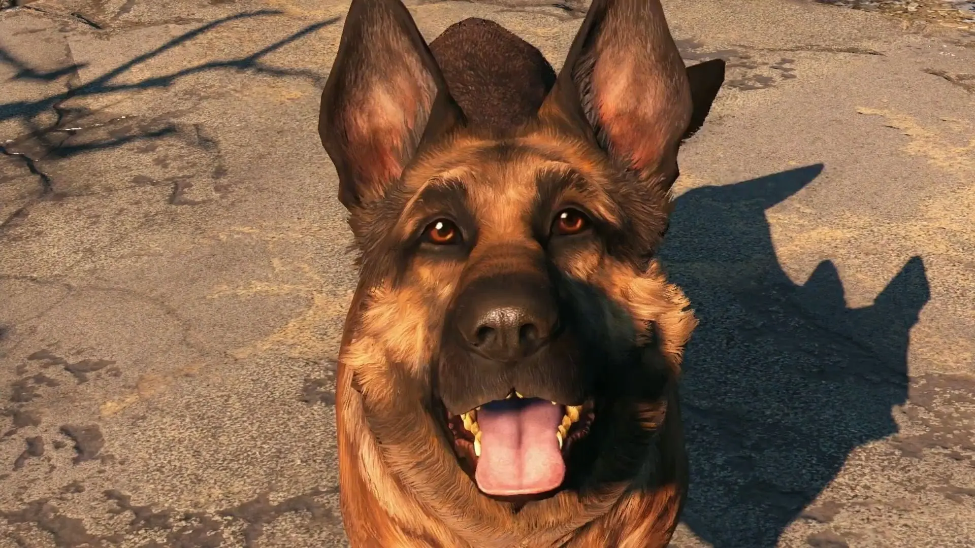 استودیوی آبسیدین برای توسعه پروژه جدید Fallout به زیرمجموعه بتسدا پیوست