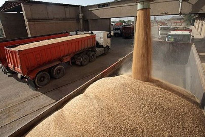 پرداخت ۱۱ هزار میلیارد ریال از مطالبات گندم‌کاران چهارمحال و بختیاری