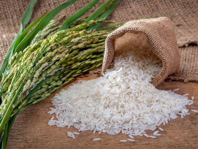 کاهش تولید برنج در کره جنوبی به دلیل تغییر الگوی کشت و مصرف