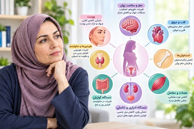 دوران یائسگی؛ گذار زیستی ناگهانی در سیستمهای حیاتی بدن زنان