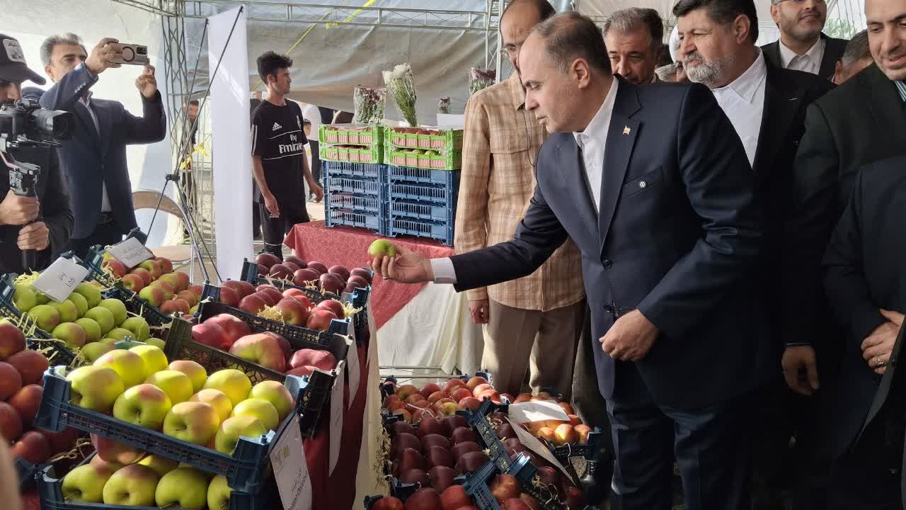 جشنواره سیب دماوند؛ تمرکز بر توسعه صنایع تبدیلی و صادرات محصولات باکیفیت