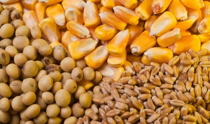 توزیع ۴۹۴ هزار تن نهاده دامی در فارس برای حمایت از تولید پروتئین