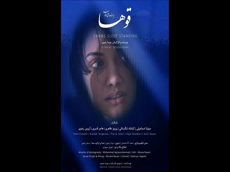 فیلم کوتاه «قوها ایستاده میخوابند» در جشنواره بینالمللی فیلم کوتاه تهران