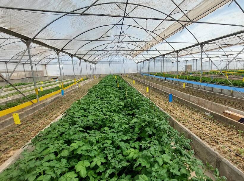 تخصیص ۳۶۹ میلیارد تومان برای توسعه زیرساختهای کشاورزی مازندران