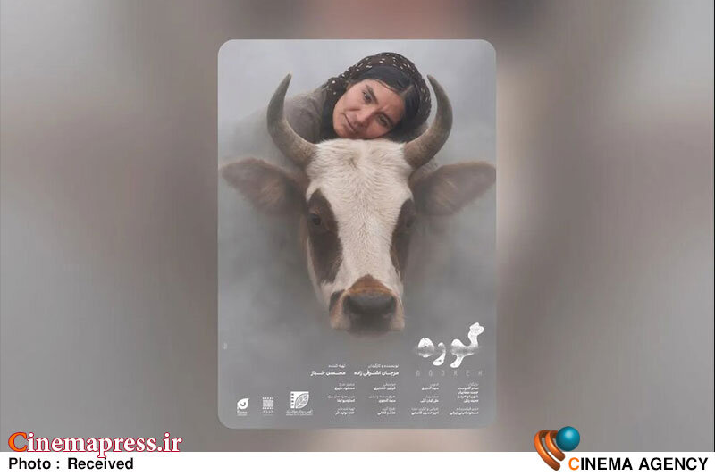 رونمایی از پوستر بین‌المللی فیلم کوتاه «گوره» در جشنواره تهران