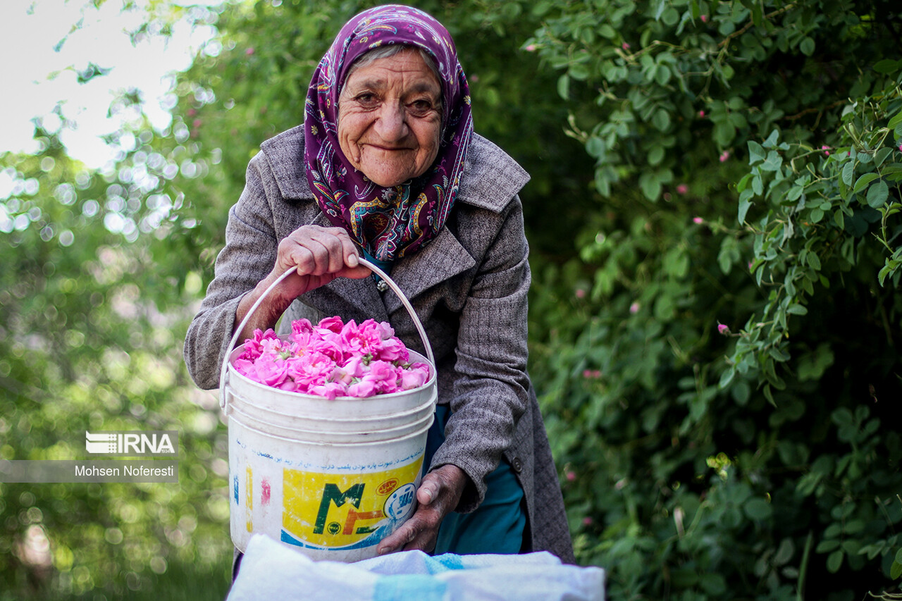تدوین سند اشتغال سالمندان با رویکرد اقتصاد نقره‌ای در ایران