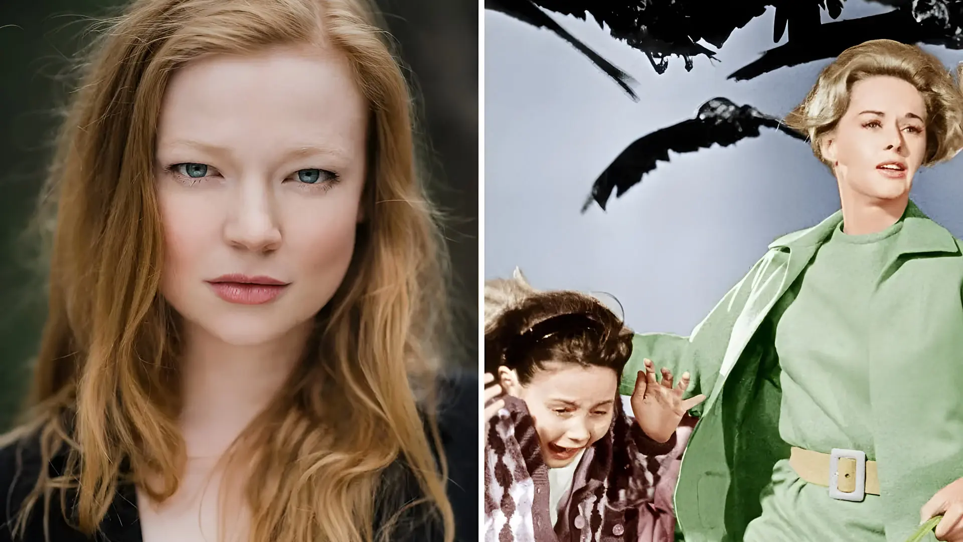 سریال The Birds با بازی سارا اسنوک؛ اقتباسی جدید از اثر کلاسیک هیچکاک