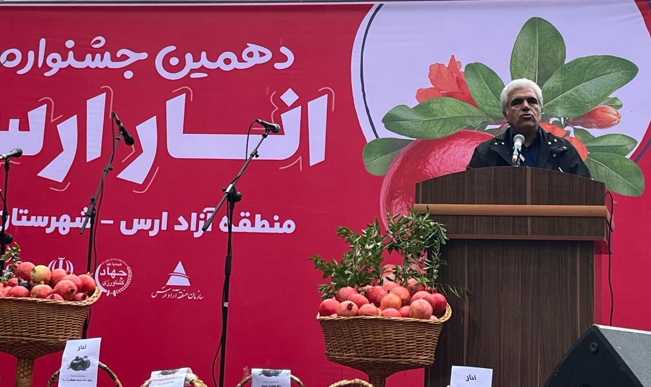توسعه صنایع تبدیلی و زیرساخت‌های گردشگری؛ کلید رونق اقتصادی مرند و جلفا