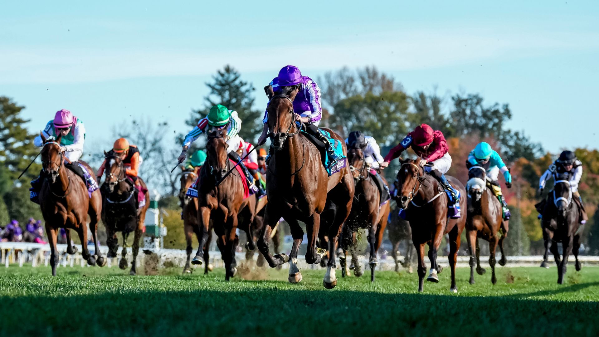 سان گادِس و لیبرتانگو؛ درخشش خیره‌کننده اسب‌های اروپایی در Breeders' Cup